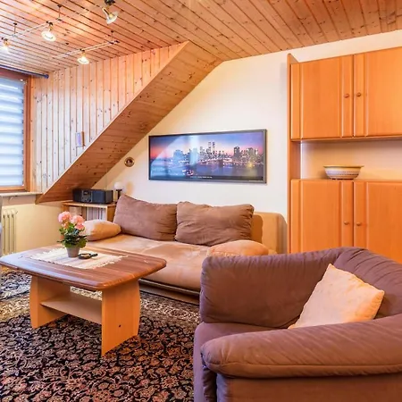 Apartment Schlegel Singen