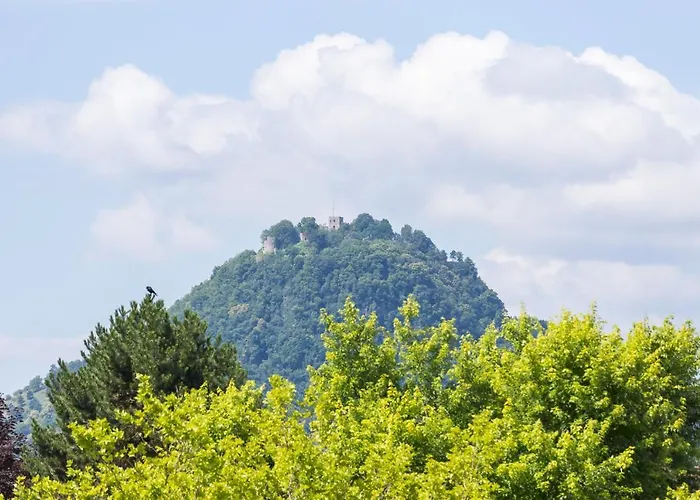 Apartamento Schlegel Singen